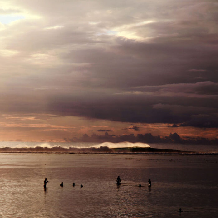 Réunion has some of the best waves in the world–but more recently it has become famous for something else: shark attacks.