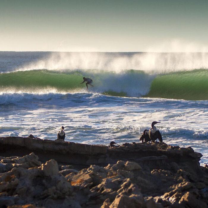 Wild Coast of South Africa