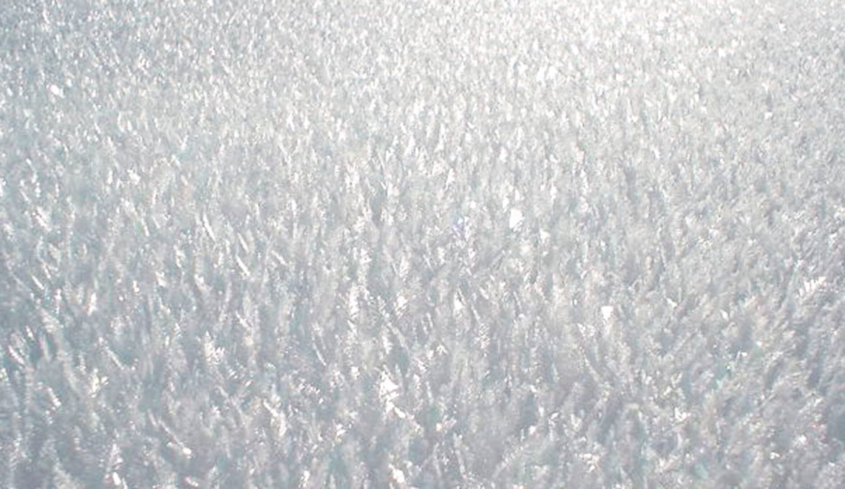 Photo: National Avalanche Center