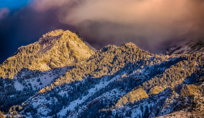 Photo: Mitch Johanson