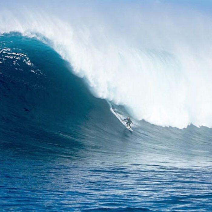 The rules are simple: the surfer who catches the biggest wave wins $10,000.