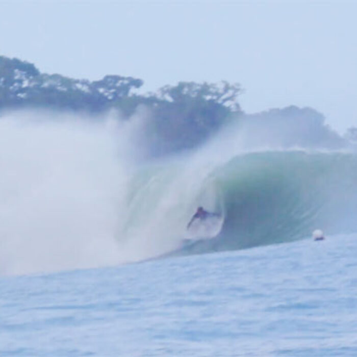 Panamanian Vissla