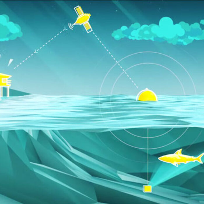 There's a new product floating around out there that might replace shark nets (which kill a lot more than just sharks). It's a buoy. A really high-tech buoy, full of gadgets and sonar and algorithms.
