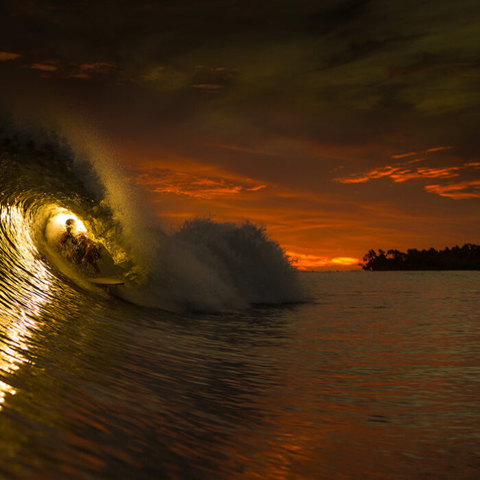 Cole PHotography PNG