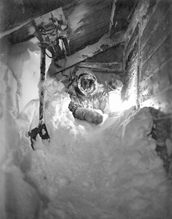 Screenshot: Frank Hanley via National Geographic