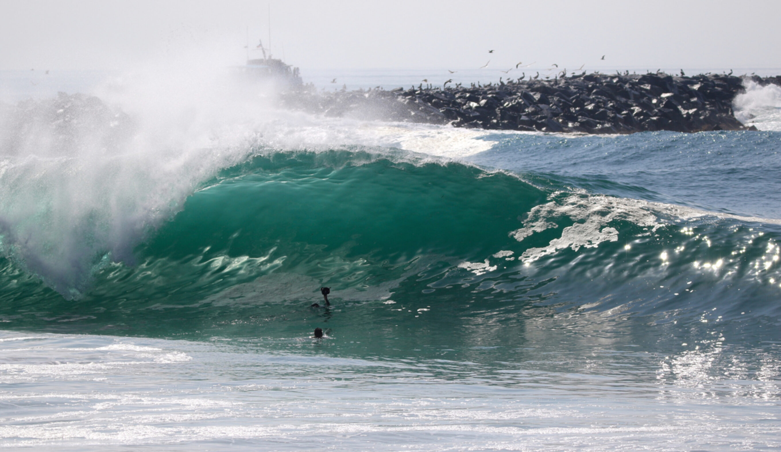 March California South Swell