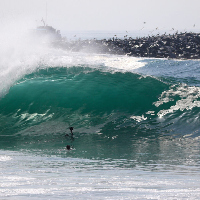 March California South Swell