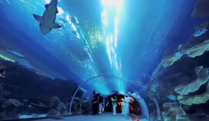 Screen-Shot-2015-04-20-at-11.41.38-AM