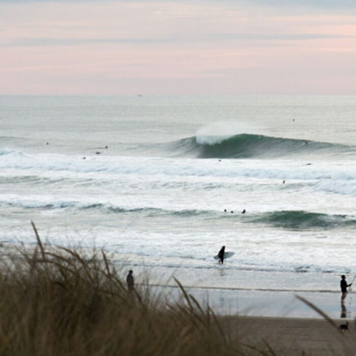 Ocean Beach.
