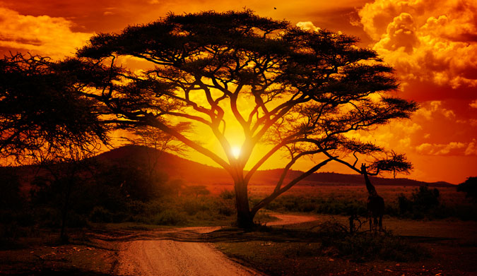 An African sunset. Photo: Shutterstock