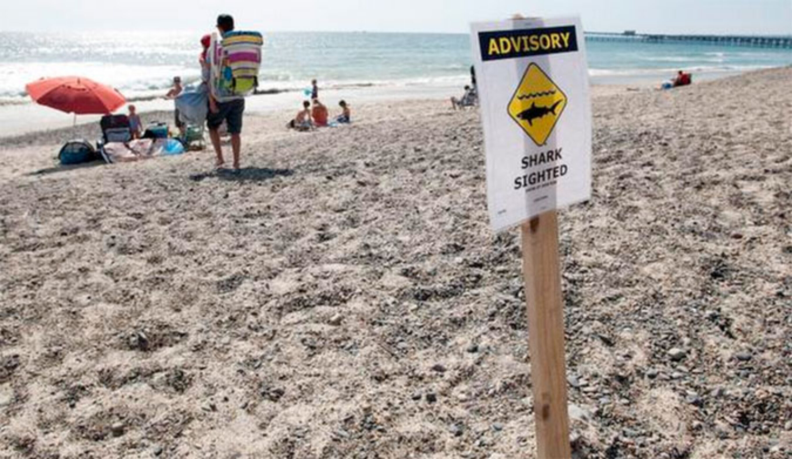Lifeguards pulled surfers and swimmers from the water, and closed the beach until Saturday around noon. Photo: Rob Bro