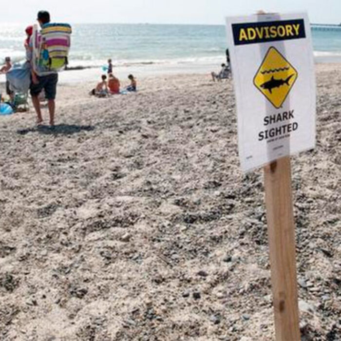Lifeguards pulled surfers and swimmers from the water, and closed the beach until Saturday around noon. Photo: Rob Bro