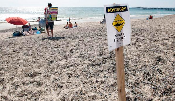 Lifeguards pulled surfers and swimmers from the water, and closed the beach until Saturday around noon. Photo: Rob Bro