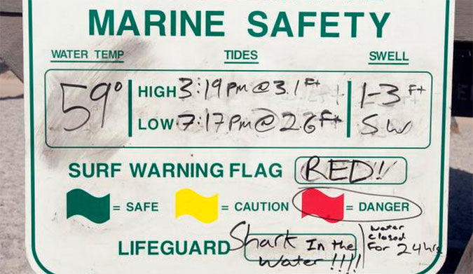 Not something you want to see while on spring break vacation. Photo: David Bro