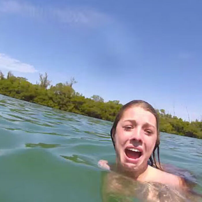 If anything, our fear of sharks should be transferred to manatees.