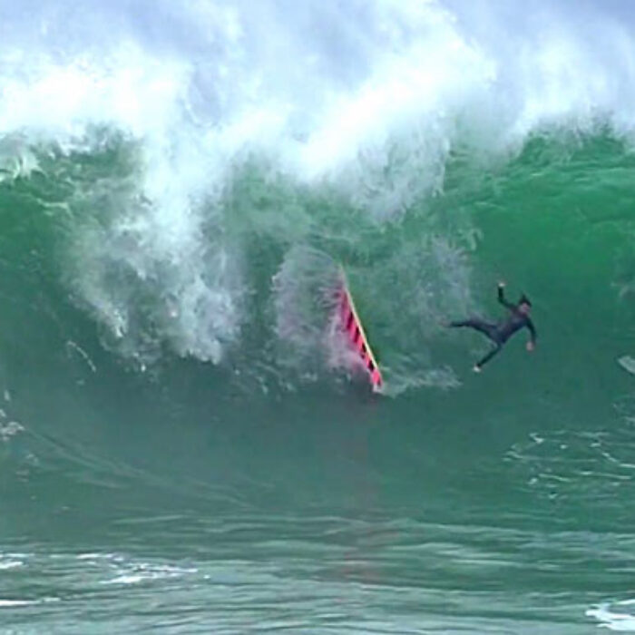 The Wedge Carnage