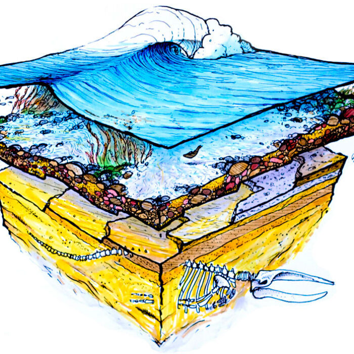 Blaze Syka Surf Art