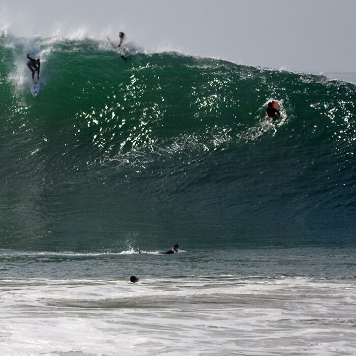 The WEdge