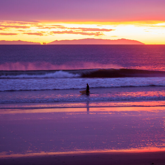 Southern California Surf Gold