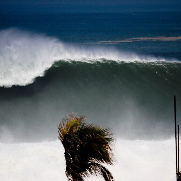 Last week, Puerto Escondido presented his own unique show.