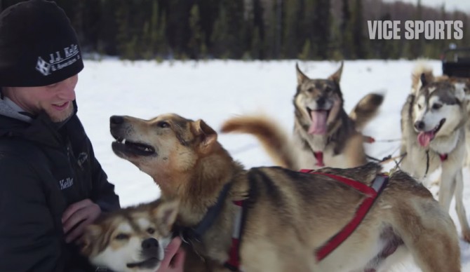 Iditarod-1