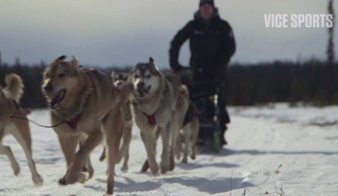 Iditarod-6