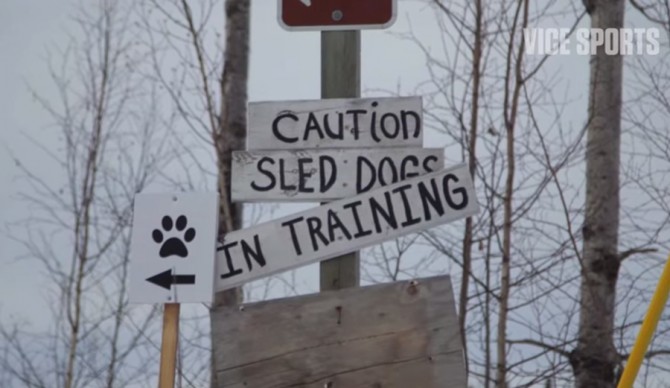 Iditarod-7