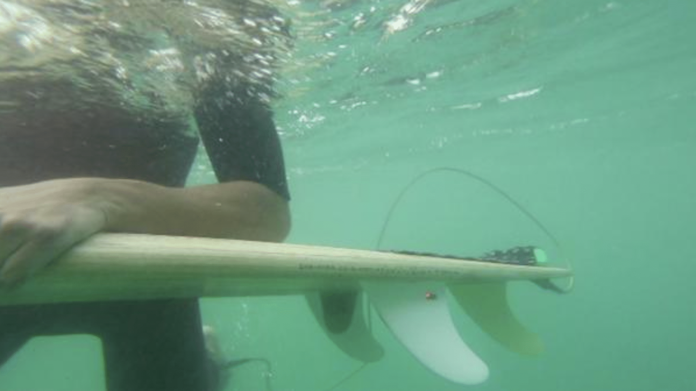 Pictured:Busy saving the world, one wave at a time. Photo: Smartphin