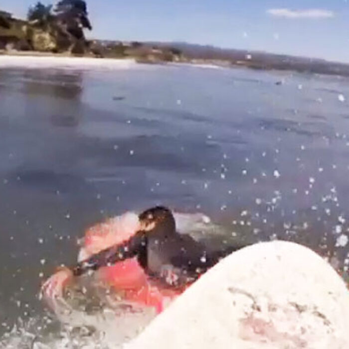 You know those days where the waves are pumping but it's so crowded you can't get any without being an asshole? Those days suck.