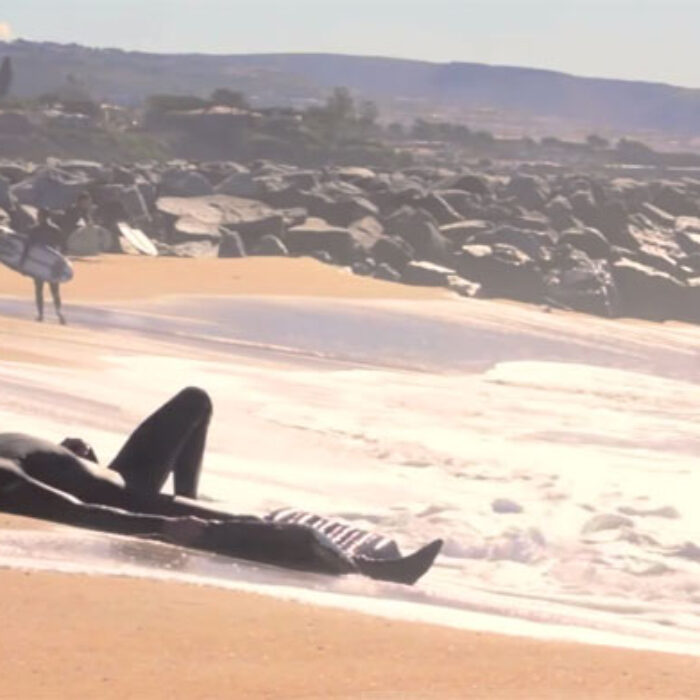 WEDGE WIPEOUTS