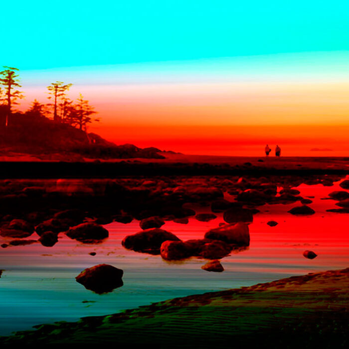 Swell. Surf. Ocean.Water. Sand. Forest. Mountains. These elements are illuminated in my art.