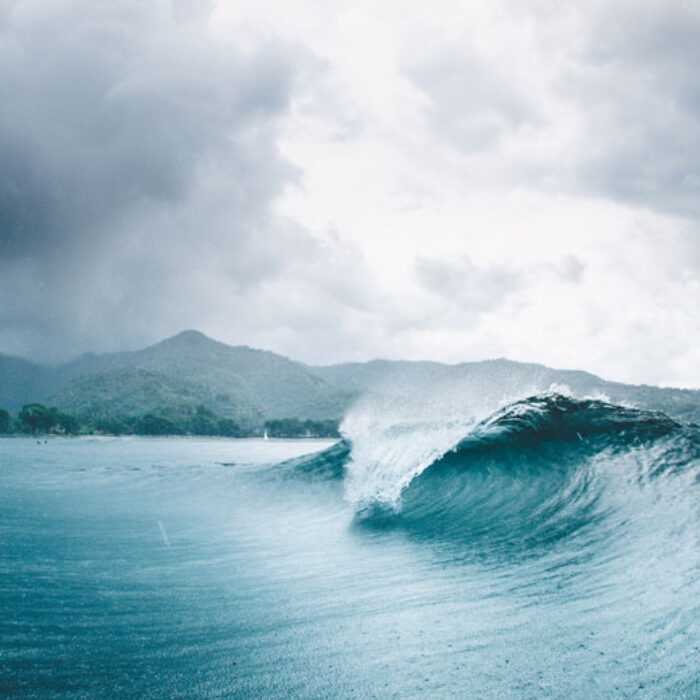 I've lost my mind already here in Indo. It hasn't even been two weeks, and May is already shaping up to be amazing.