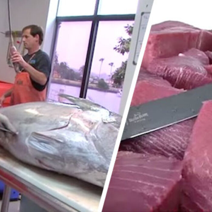 Tuna Filet