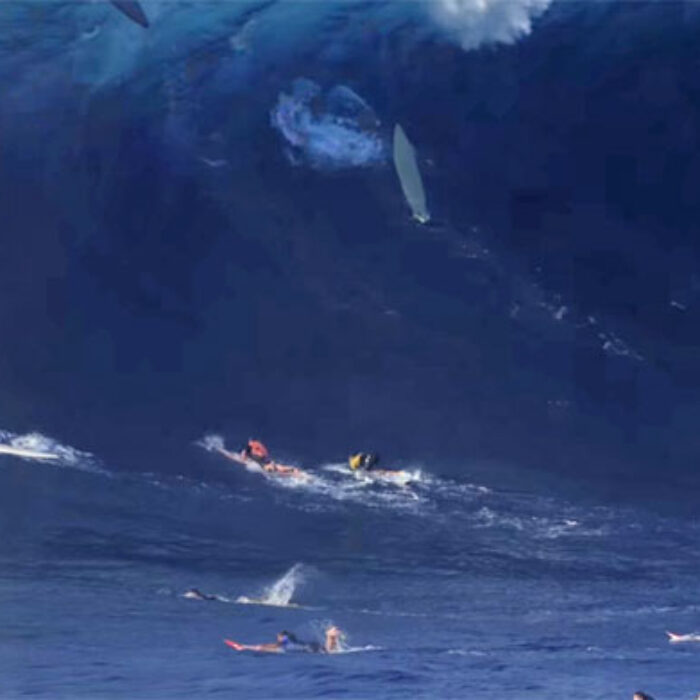 Jaws Cleanup set