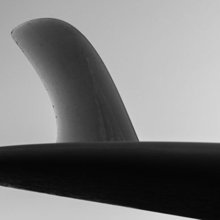 Fins. You might not think about them too much, but you probably should. Photo: Shutterstock