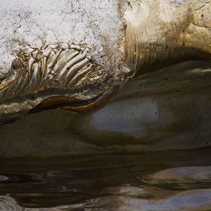 Oily conditions in Santa Barbara