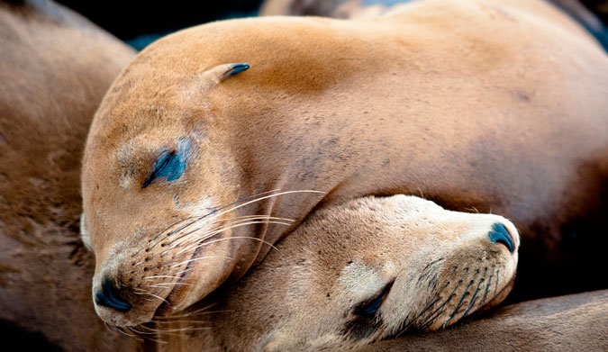 The locals know about things like this. Get to know them, and they'll show you things you'd never see on your own. Photo: Shutterstock