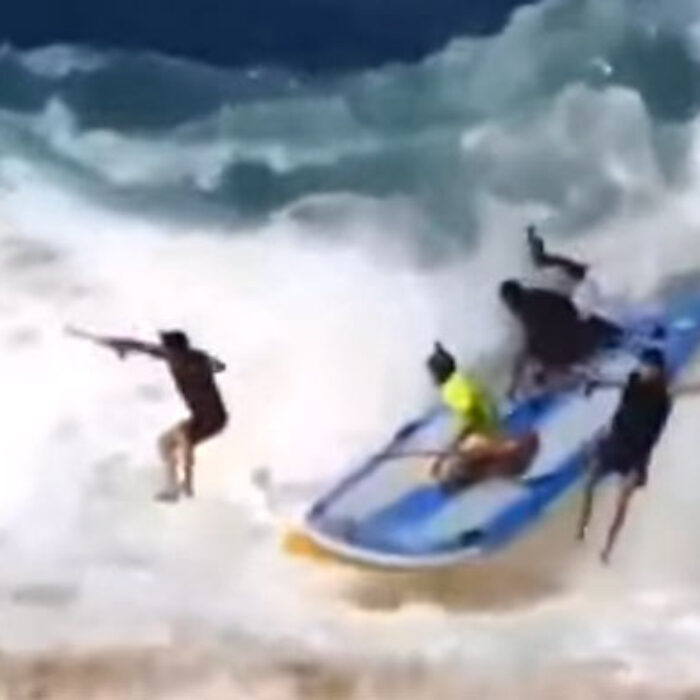 Supsquatches are the ultimate party wave vehicle: