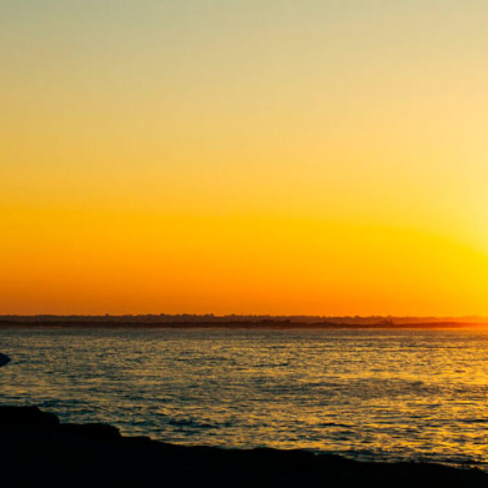 You want to surf before work? This will help get you salty before you're stuck wishing you were salty all day.