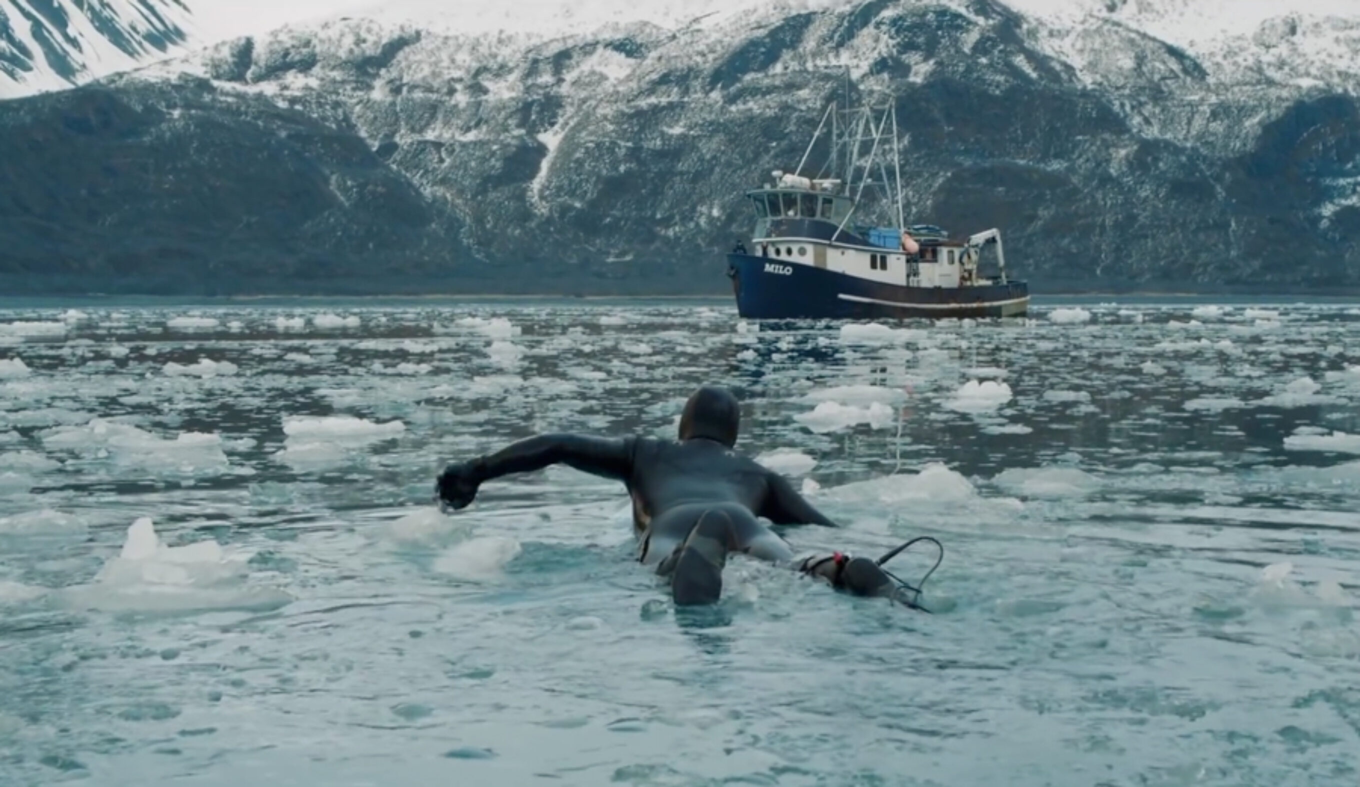 Arctic