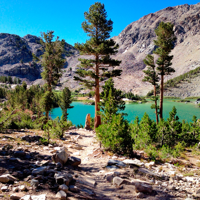 Photo: Courtesy of Kimmy Fasani