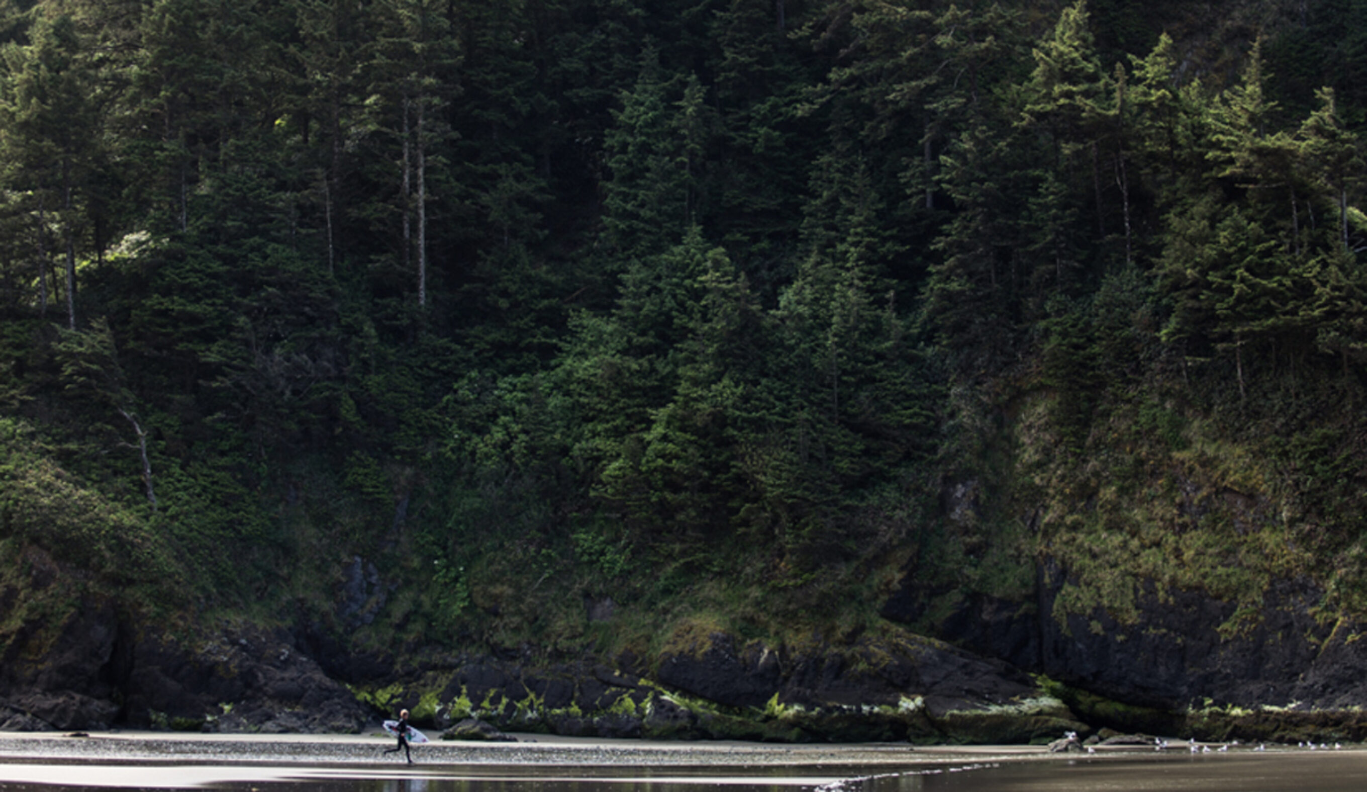 Pacific Northwest