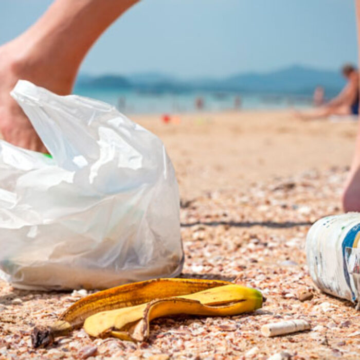 To all those people that thought banning the bag was "government overreach"... how about just bringing your own bag? Photo: Shutterstock