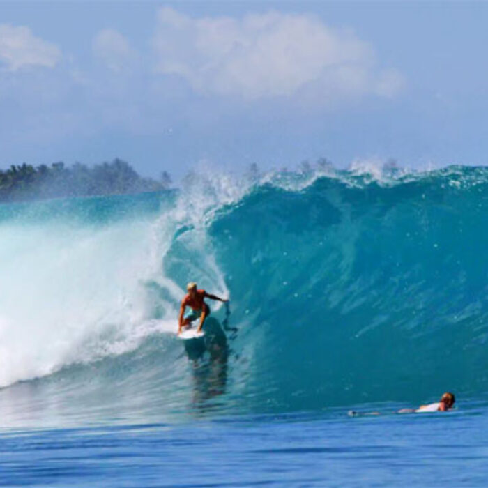 Reef's EXIT