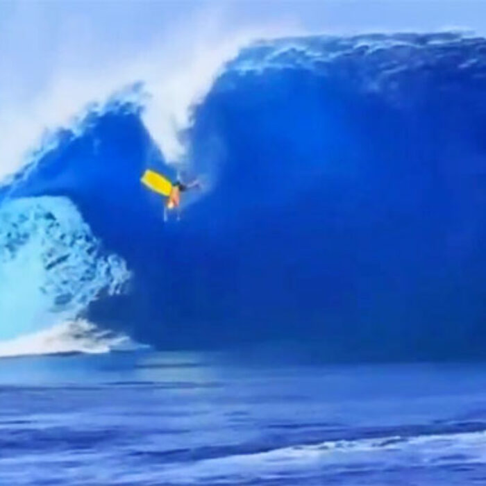 2015 Wipeouts