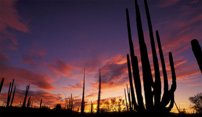 Dry and barren, but you can find some diamonds in the rough if you know where to look. Photo: Konrad