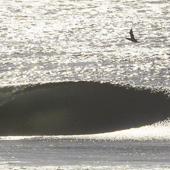 If you like left hand barrels, Panic Point is your jam. And let's be honest, you like barrels, whether they're right handers or left.