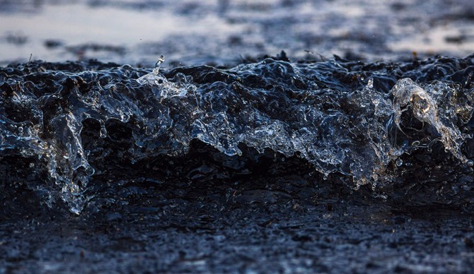 Photo: Joshua Shelly