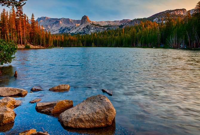 Photo: Sarah Fields Photography