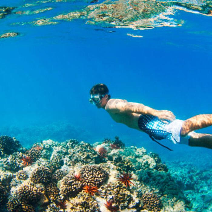 Have a look at the underside of the ocean.